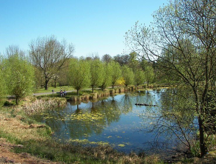 Keltengarten Neuer Botanischer Garten, Marburg, Germany, Germany